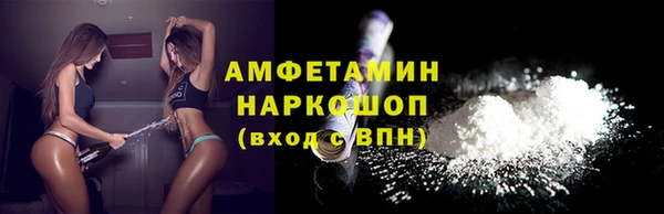 соль ск Алексин