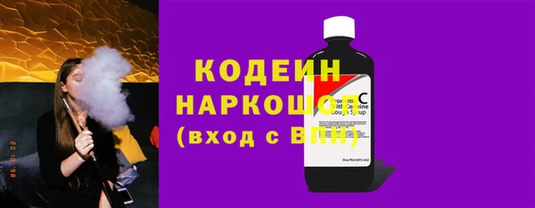 хмурый Алзамай