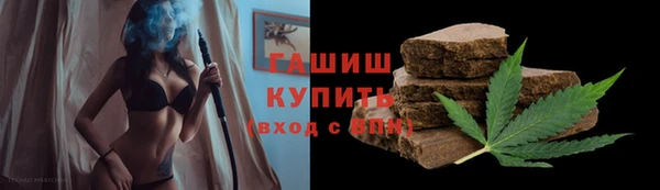 хмурый Алзамай