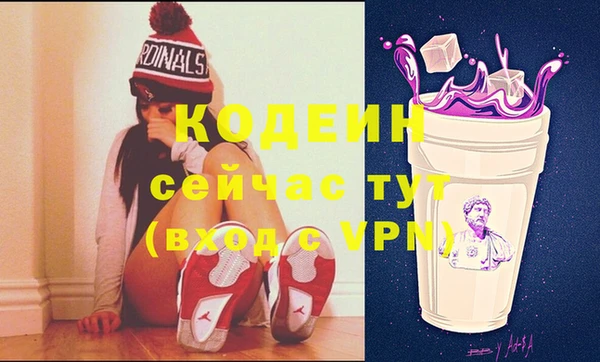 хмурый Алзамай