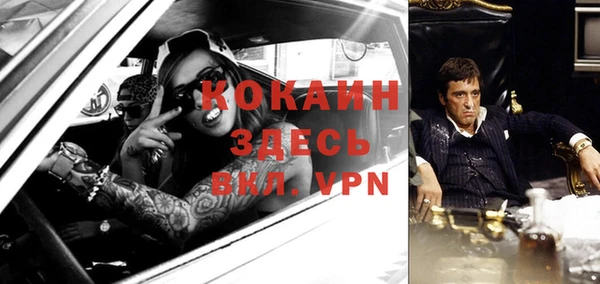 соль ск Алексин