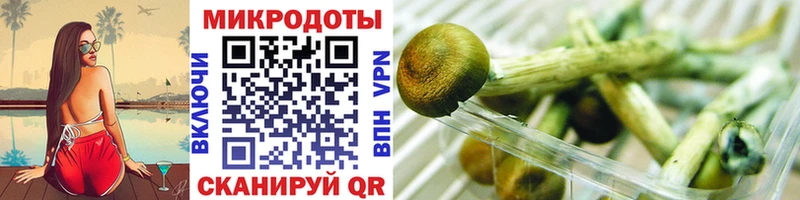 Псилоцибиновые грибы Magic Shrooms  сколько стоит  Белоозёрский 