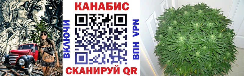 МАРИХУАНА планчик Белоозёрский